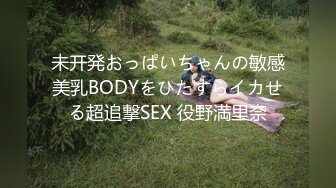 未开発おっぱいちゃんの敏感美乳BODYをひたすらイカせる超追撃SEX 役野満里奈