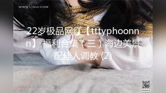 22岁极品网红【tttyphoonnn】 福利合集（三）海边美景配佳人调教 (2)