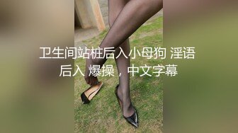 卫生间站桩后入小母狗 淫语 后入 爆操，中文字幕