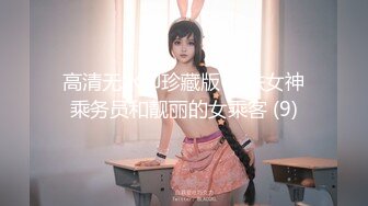 高清无水印珍藏版 高铁女神乘务员和靓丽的女乘客 (9)